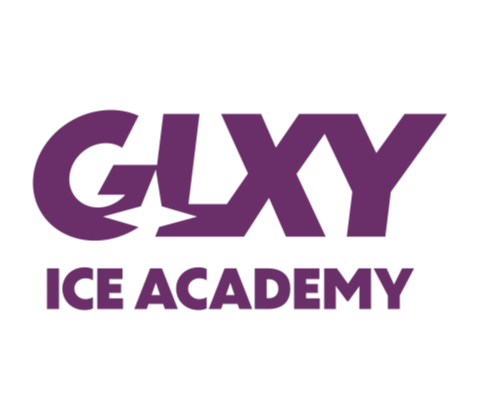 Galaxy Hockey Academy wordmark logo